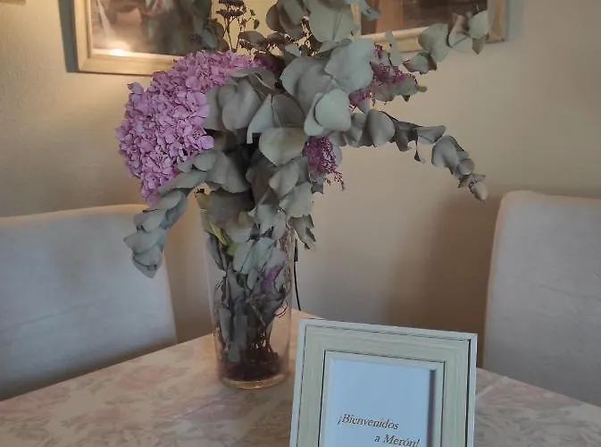 Turistico Meron, Duplex *