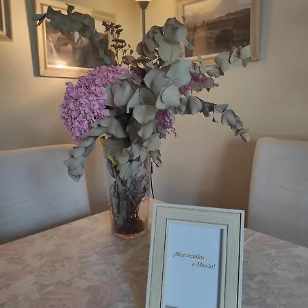 Turistico Meron, Duplex *